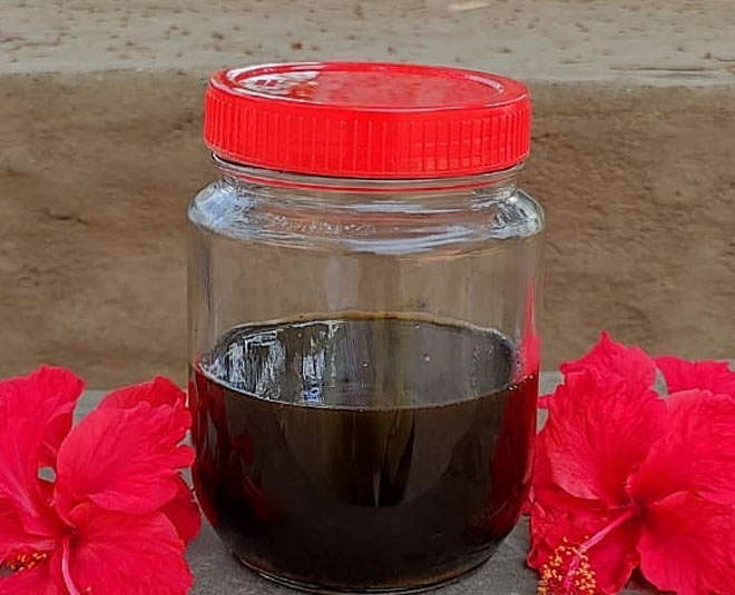 herbal oil rekha diwekar