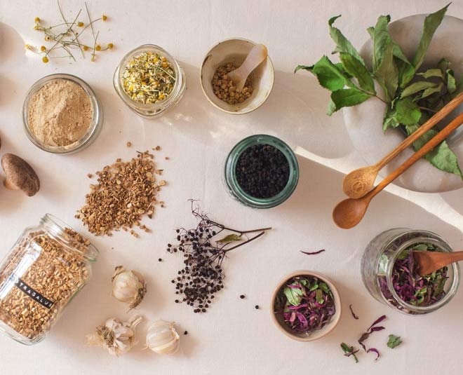 immunity herbs