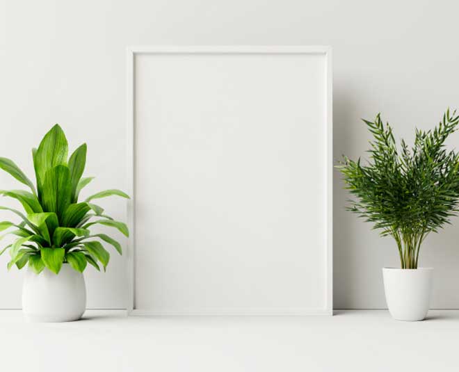 inside  home cleaning