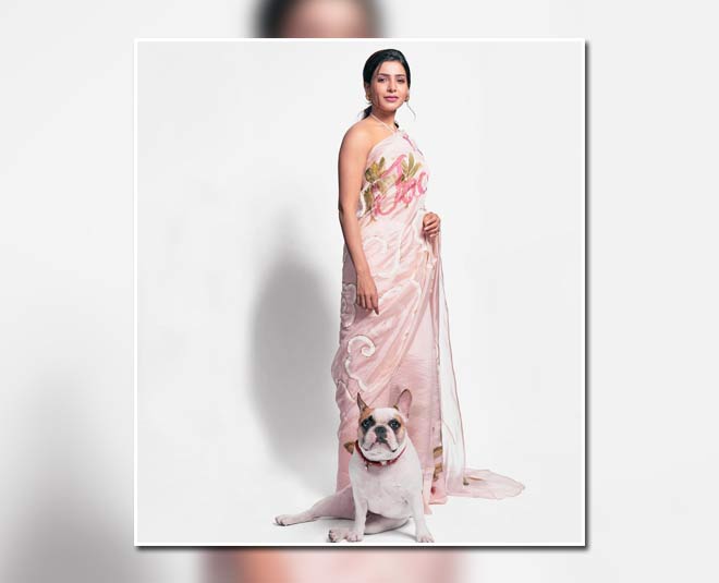 inside  ponital hair style