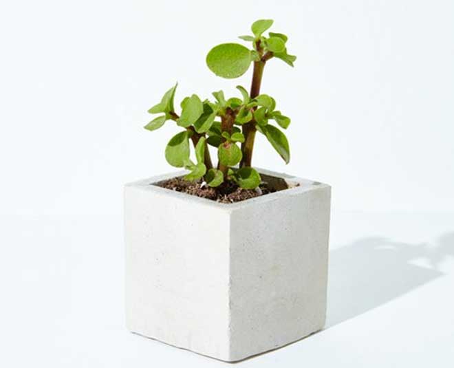 inside  , cleaning Tips for women