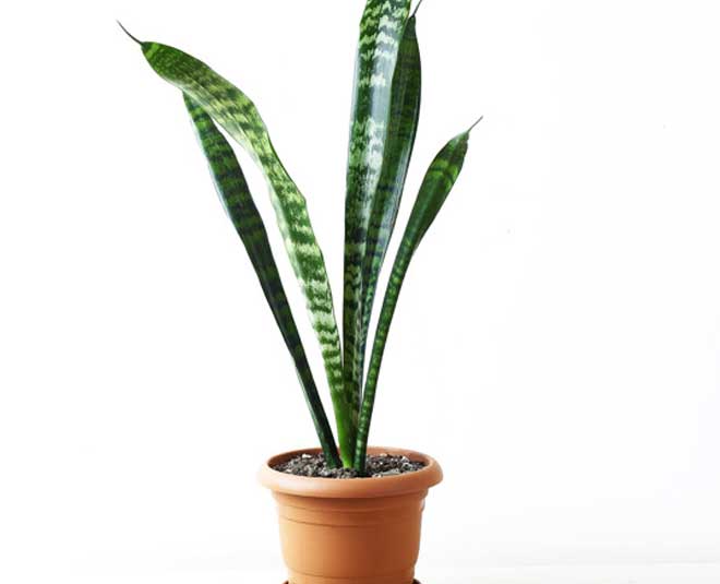 inside  women commen issue