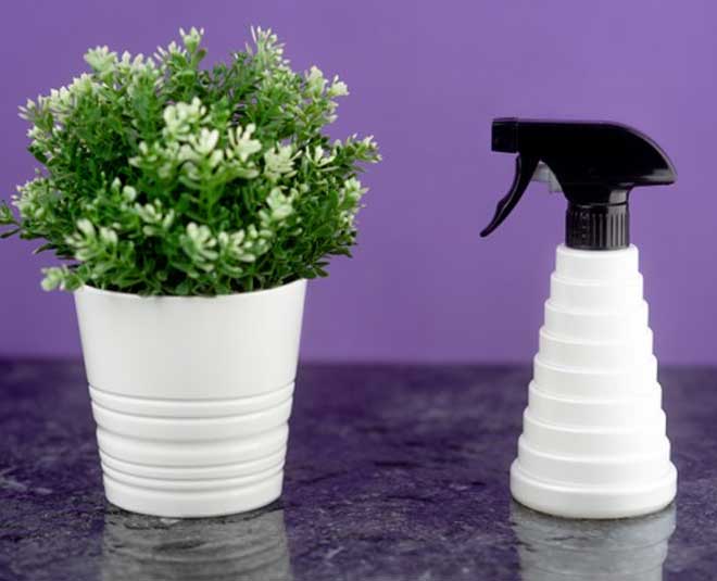 inside  flower pot tips for women