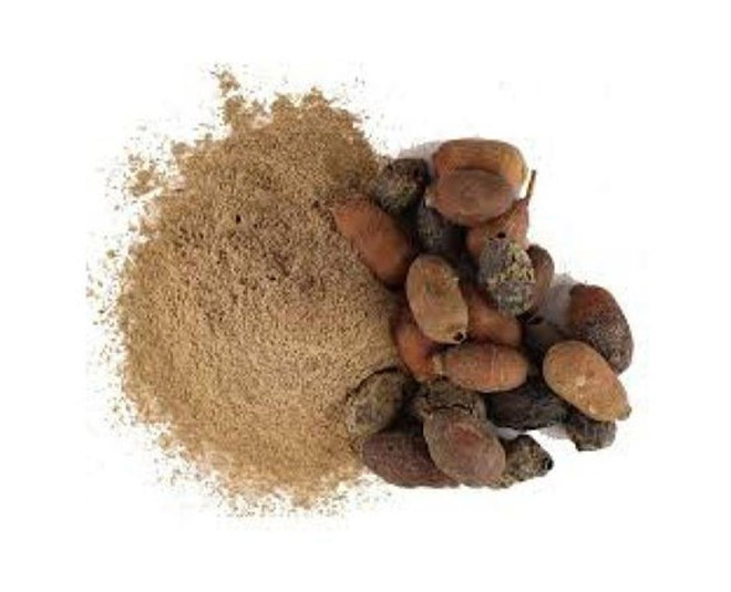 jamun seeds benefits inside 