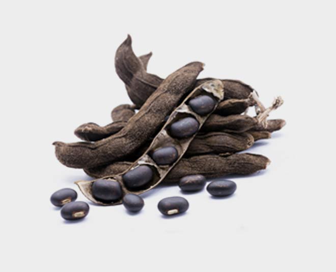 kaunch seeds benefits inside 