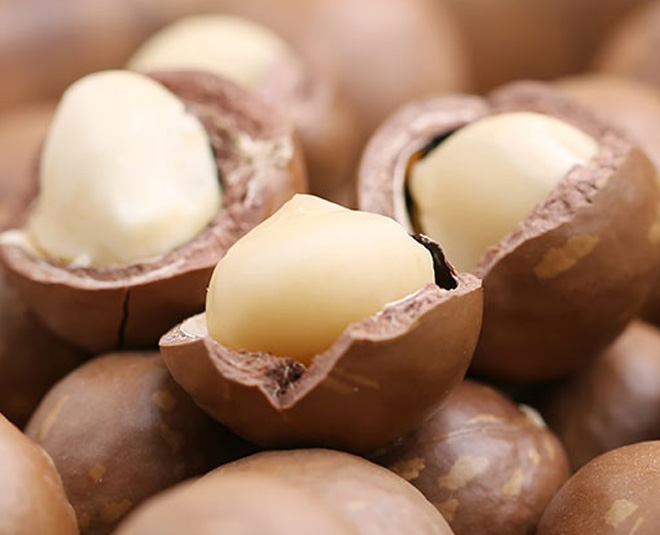 Macadamia Nuts Benefits In Hindi macadamia nuts benefits HerZindagi