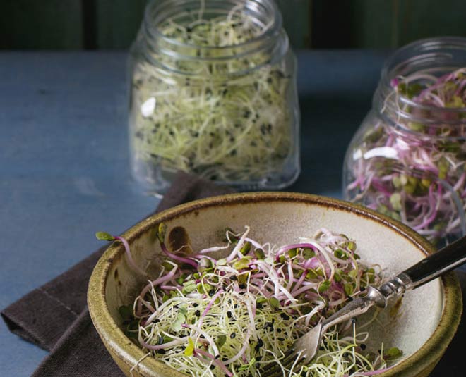 pulses good in summer season