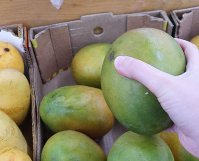 Easy Ways Ripen Green Mangoes At Home In Hindi easy ways ripen green