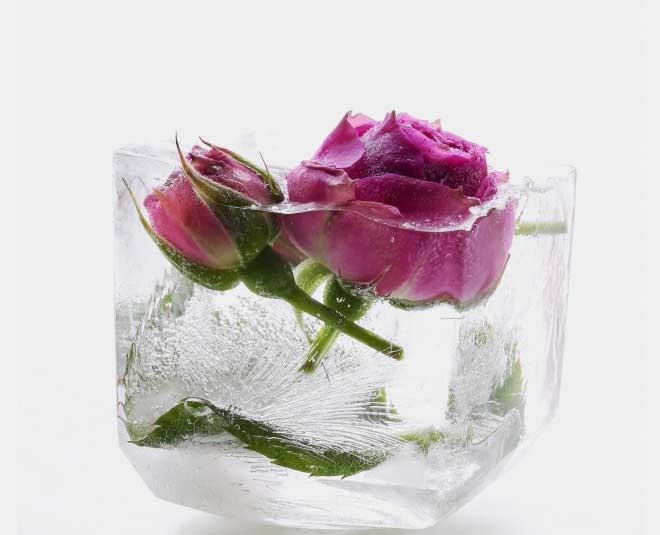 rose water