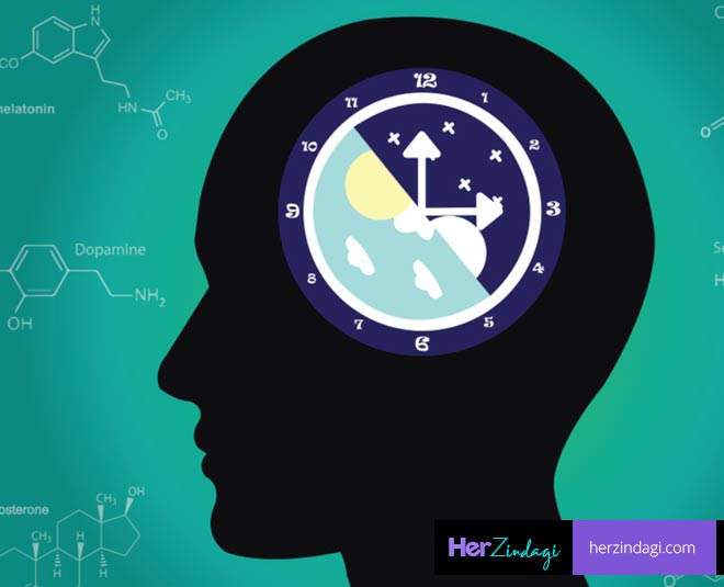 what is circadian rythym