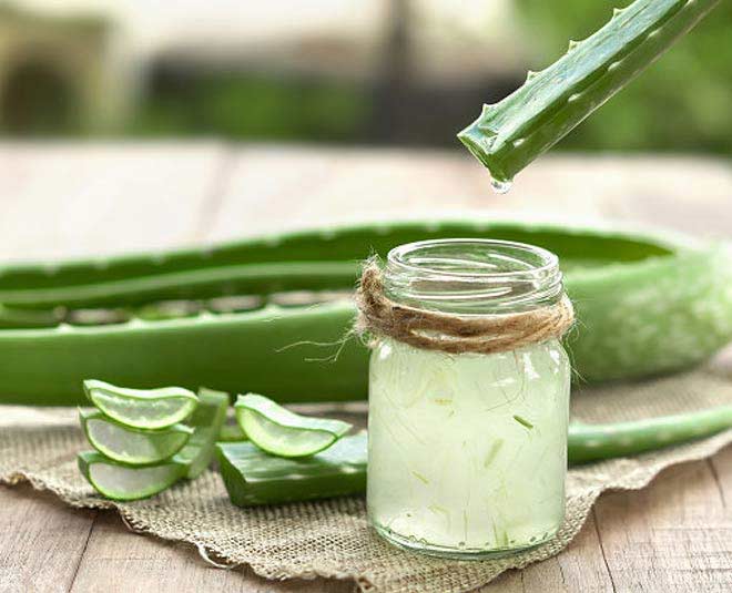 aloe vera gel for oily hair