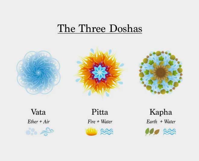 ayurveda  doshas