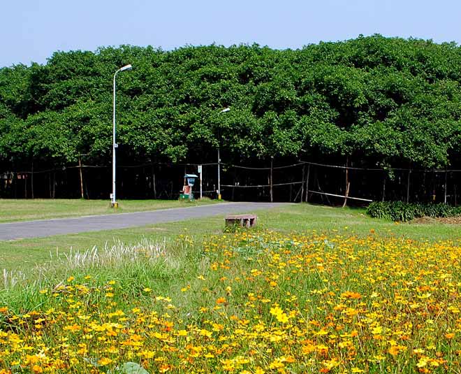 best romantic places in kolkata nalbal