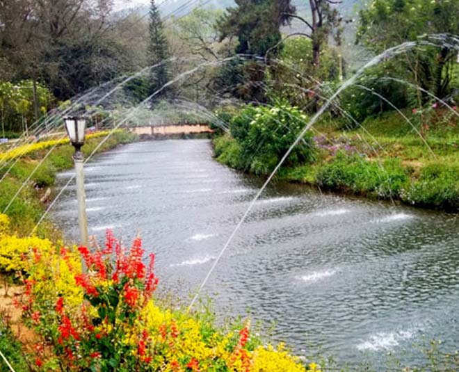 blossom internation park munnar