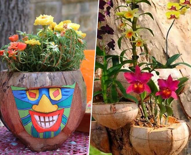 नारियल के छिलकों में लगाएं पौधा coconut shell for flower