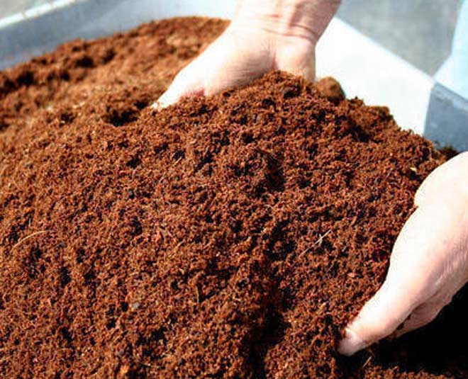 खाद की तरह करें इस्तेमाल cocopeat powder