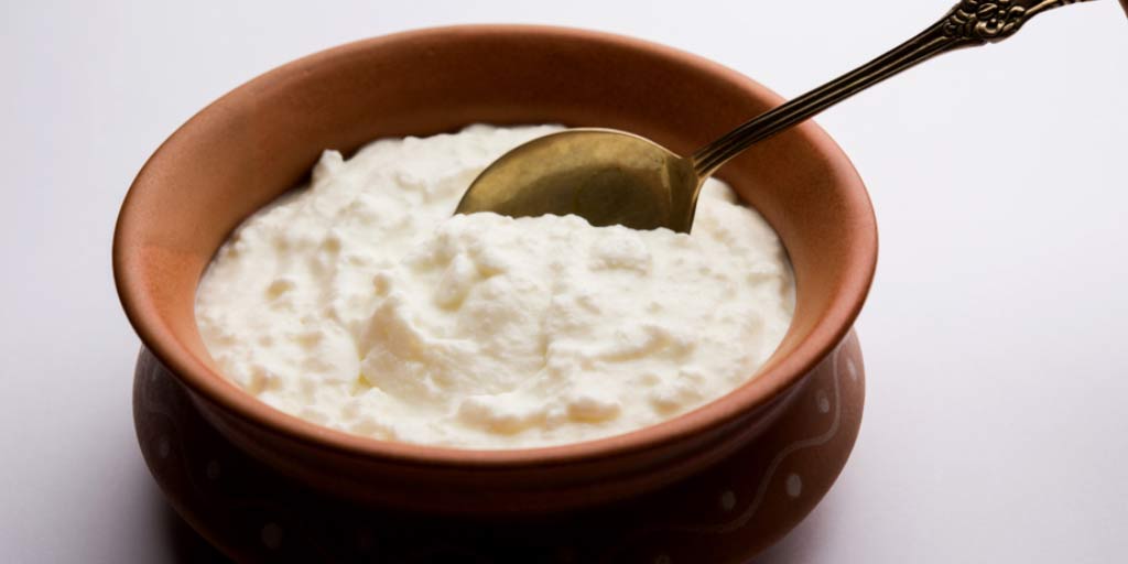 How to Make Curd Without Starter or Jaman at Home how to make curd without starter or jaman at