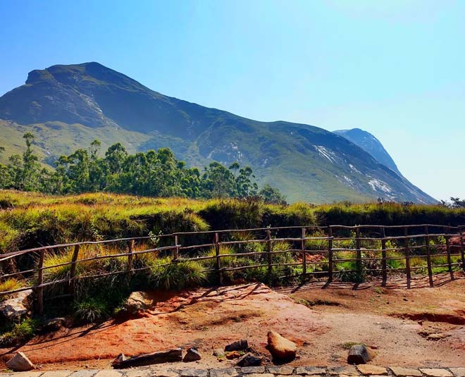 erravikulam national park