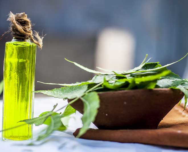 expert  on  tulsi  plant  growth