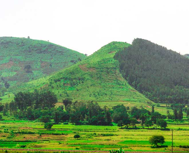 famous araku hill stations in andhra pradesh
