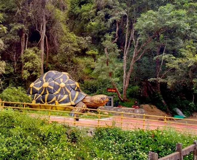 famous national parks of kerala chinnar inside 