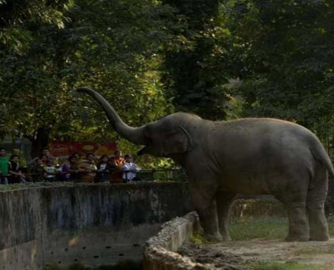 famous zoological parks in kolkata