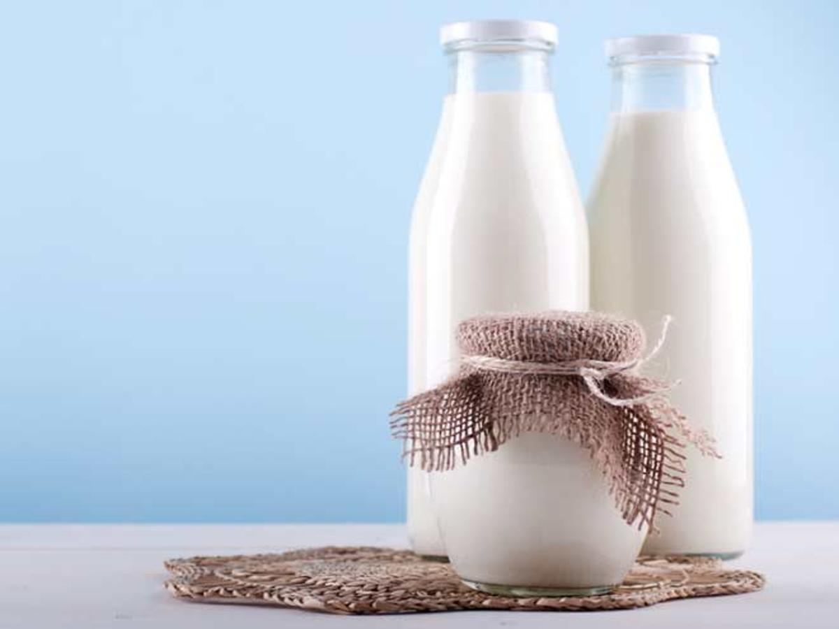 Goat Milk Benefits: Why You Should Drink It This Season | HerZindagi