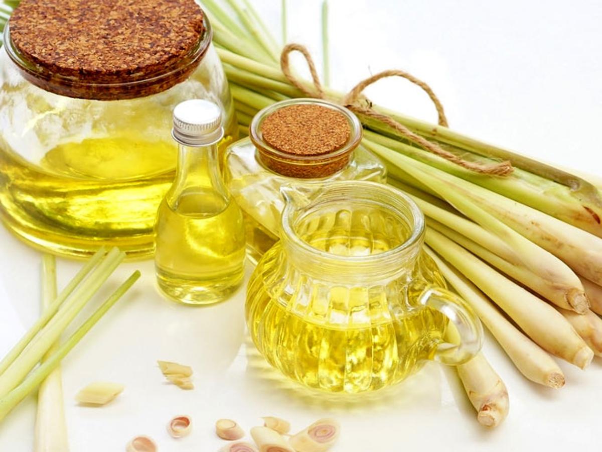 Lemongrass Oil Health Benefits in Hindi