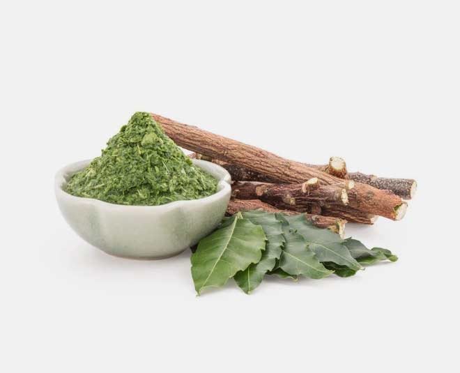 home  tulsi  plant  care  tips