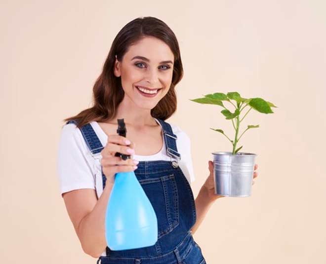 how to make lemongrass natural pesticide and garden spray