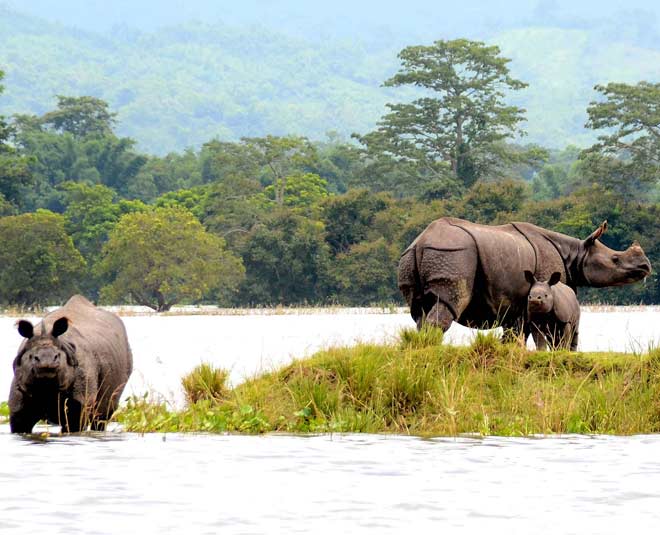 kanchiranga national park