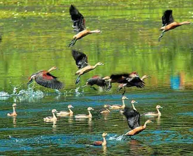 know famous national parks of kerala