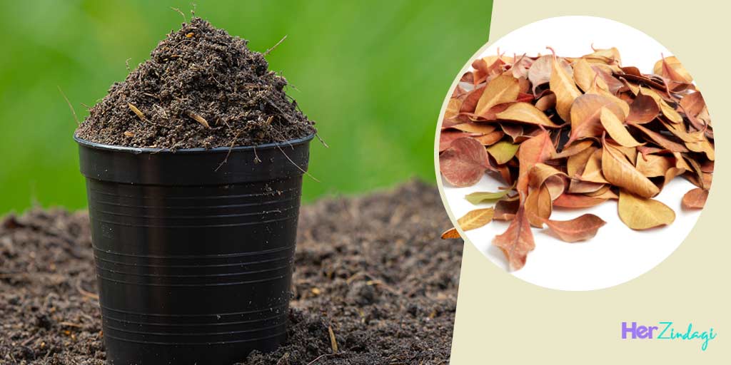 How To Make Fertilizer From Dry Leavesसूखे पत्तों से बनायी जा सकती है
