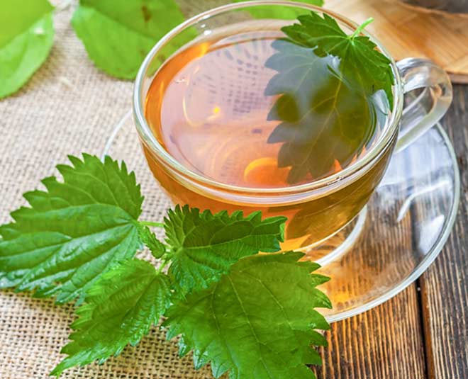 nettle leaf health benefits inside 