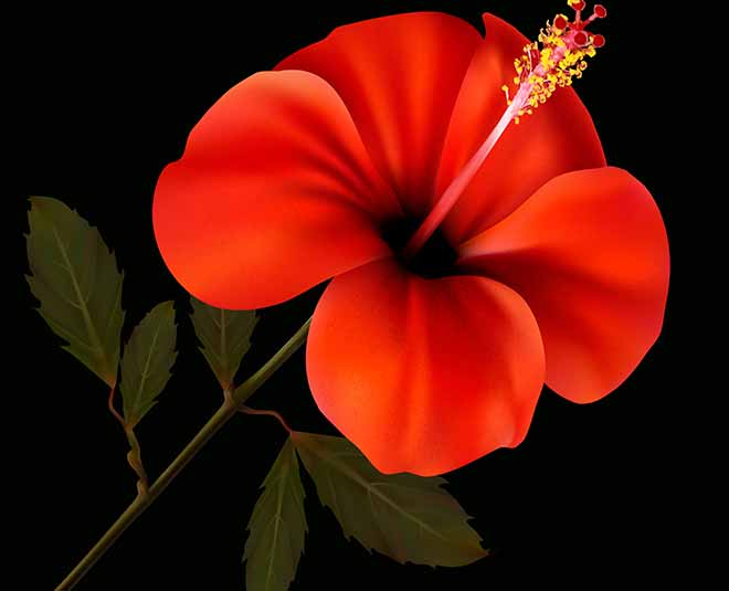 लाल फूलों का इस्तेमाल red flower shiv pujan