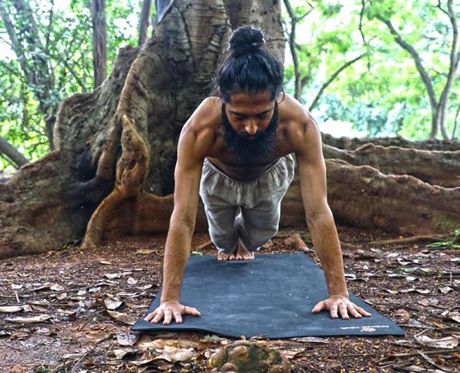 santolanasana health