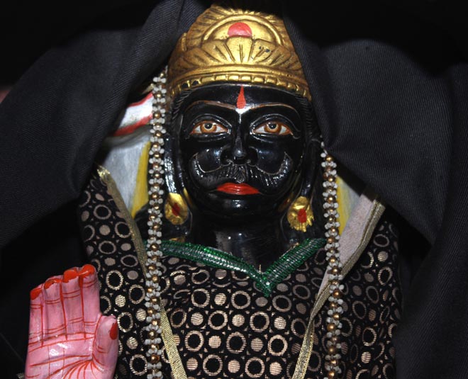 shami plant benefits for shani dev