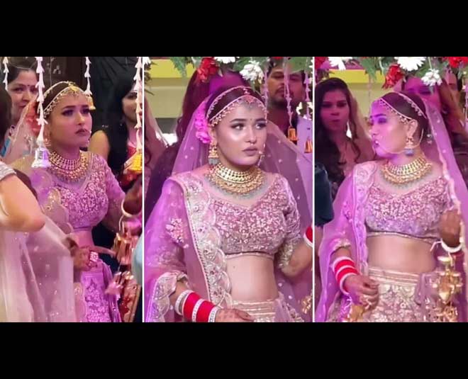 shivani pippel viral wedding video m