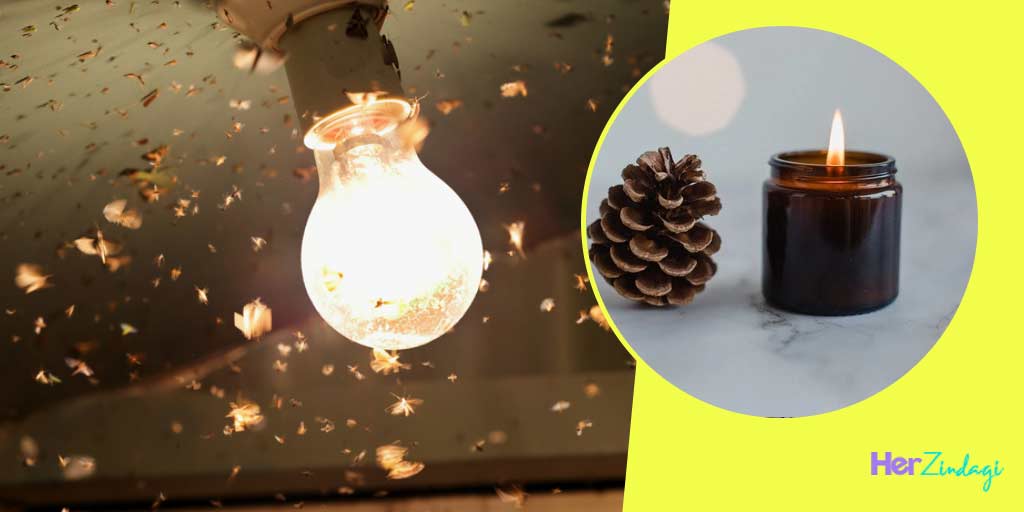 How To Get Rid Of Insects Around Lightsलाइट के पास मंडराने वाले कीड़ों