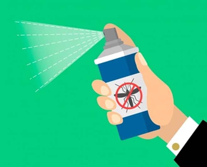 turmeric leaves uses in hindi inside 