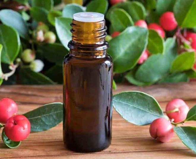 what is wintergreen essential oil main