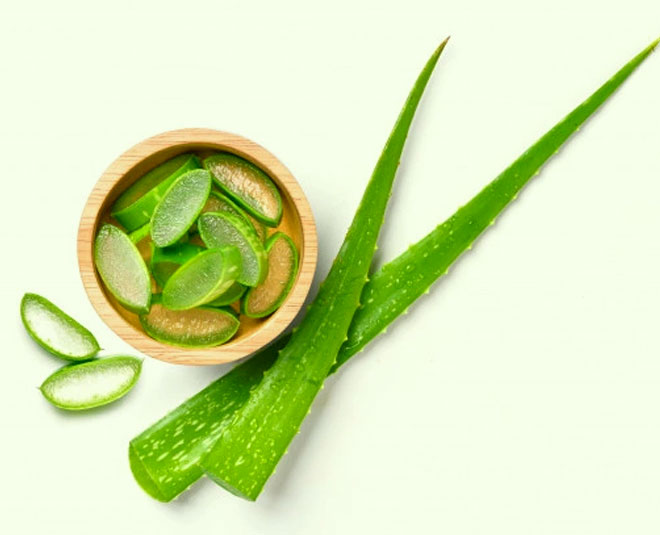 aloe vera night serum