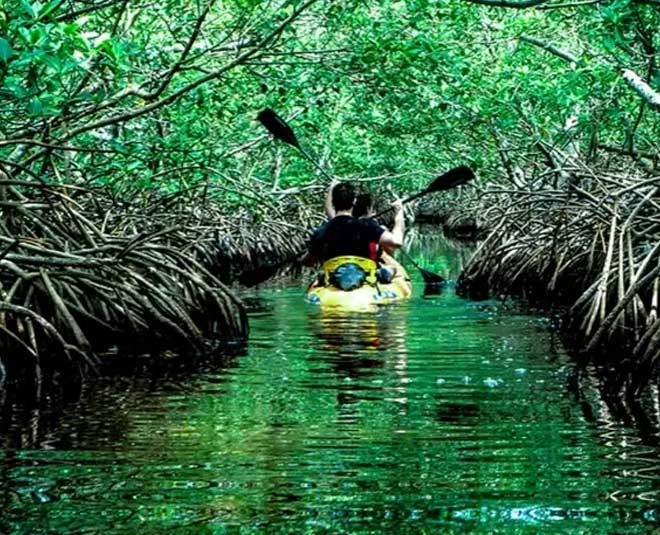 andaman and nicobar best package