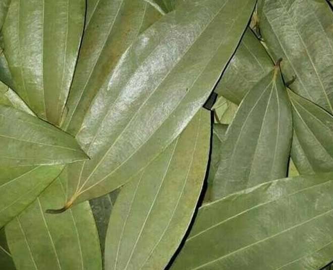 bay leaf for lentils