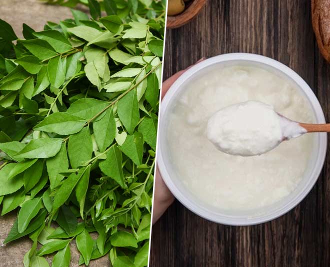 curry leaves yogurt hair mask for dandruff