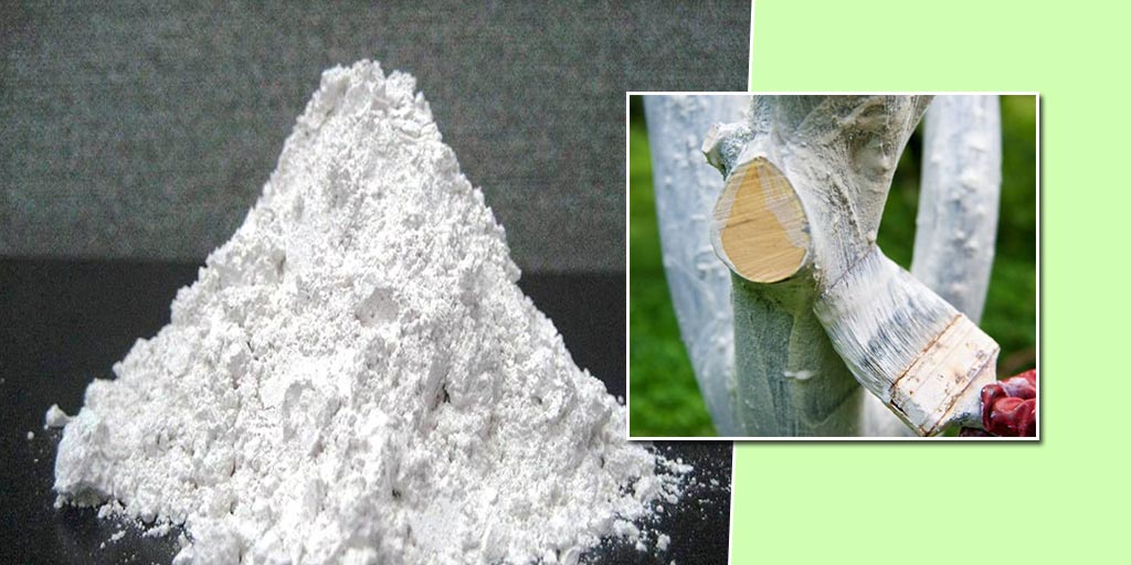 Different Uses of Lime Powder In Hindi different uses of lime powder