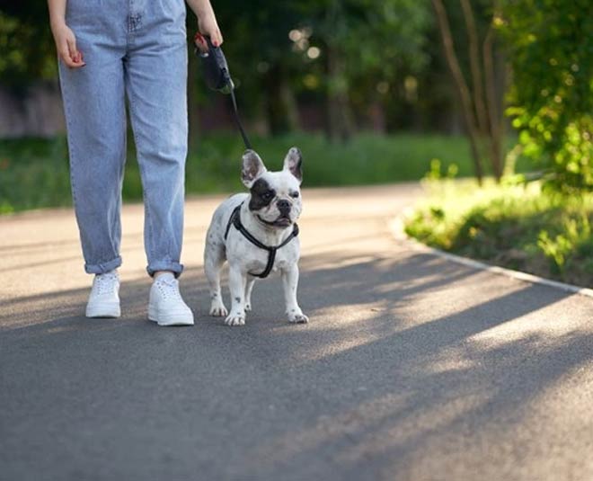 These Are The Best Jeans For Short Woman To Look Tall