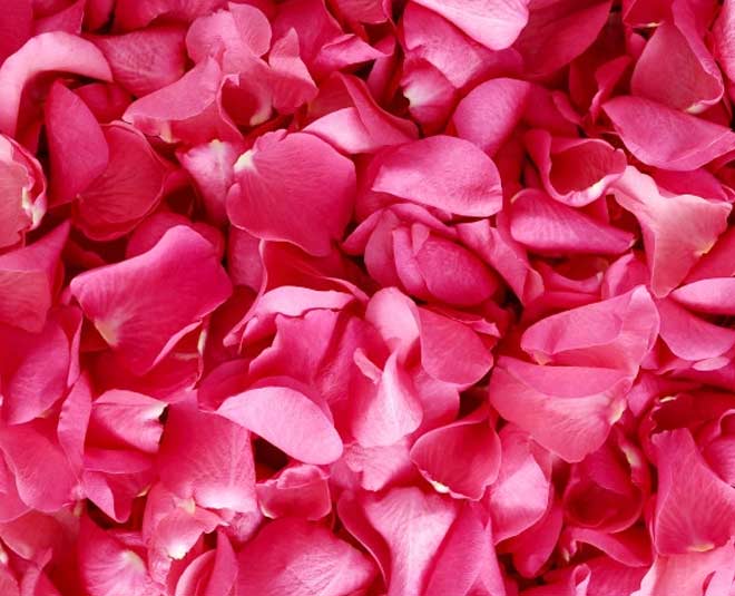 easy steps to make rose body cream