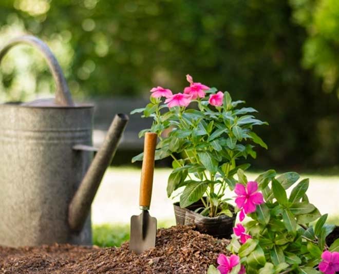 gardenning service centar