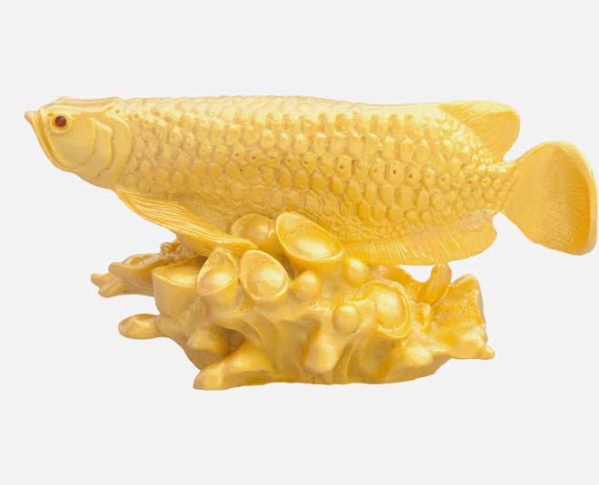 सोने के रंग की मछली golden fish fengshui
